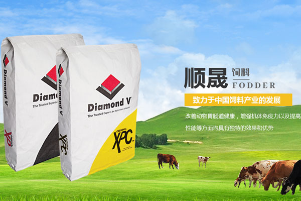 北京现货5%肉羊复合预混料Y500厂家